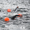 Спортсмены из России и Китая совершат заплыв вдоль полуострова Басаргина