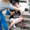 В центре Владивостока избили мужчину