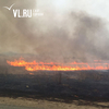 Почти 100 га территории выгорело за сутки на «Земле леопарда» в Приморье (ФОТО)