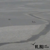 Во Владивостоке рыбаков унесло на оторвавшейся льдине (ВИДЕО)