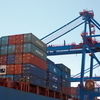 В порту Владивостока вводится период свободного хранения грузов