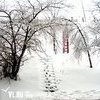 Сегодня во Владивостоке 0…+2 °C, вечером возможен мокрый снег