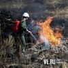 В Приморье действуют два лесных пожара на 80 гектарах