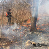 Три лесных пожара потушено в Приморье за сутки