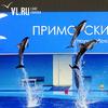 «Смерть дельфинов не связана с качеством воды и квалификацией сотрудников» — Приморский океанариум