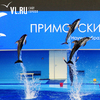 Ущерб от гибели дельфинов в Приморском океанариуме составил более 19 млн рублей