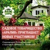 Своя дача за 50 тысяч рублей: садоводческое товарищество «Аралия» приглашает на день открытых дверей (ФОТО)