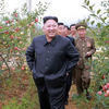 Ким Чен Ын посетил крупный плодоводческий комплекс КНДР (ФОТО)