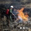 Двадцать из двадцати двух лесных пожаров на Дальнем Востоке зарегистрированы в Приморье