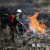 В Приморье сформированы четыре мобильные группы для борьбы с лесными пожарами