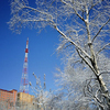 К середине рабочей недели во Владивостоке потеплеет — синоптики