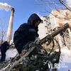 Как елки превращаются в тепло: на спецзаводе во Владивостоке опилки из новогодних деревьев сжигают в котлах (ФОТО)