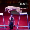 От кикиморы до хип-хопа: во Владивостокском цирке идет программа «Новогодний Мадагаскар» (ФОТО)
