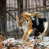 2015-  :   , , ,    ()
