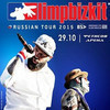        Limp Bizkit 29  ()