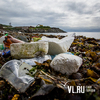 Жителей Владивостока приглашают помочь убрать мусор на побережье бухты Тихая