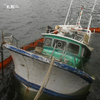 «Все зависит от хозяина»: затонувшее на набережной Цесаревича судно так и не подняли
