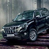 Toyota    Land Cruiser Prado  