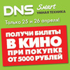 DNS SMART    