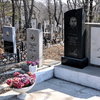 Кладбища Владивостока закроют на время противоклещевой обработки