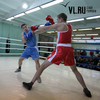 Более 40 боксеров борются за звание лучшего на чемпионате во Владивостоке (ФОТО)