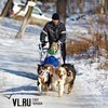 На лыжных гонках с собаками «Восточный ветер 2015» соберут спортсменов от пяти лет