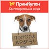 Помоги другу: во Владивостоке стартовала ежегодная благотворительная акция помощи бездомным животным