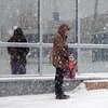 Во Владивостоке в понедельник ожидается небольшой снег — синоптики