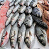На продуктовой базе на Бородинской изъято 7 тонн морепродуктов неподтвержденного качества