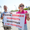 Во Владивостоке зоозащитники вышли на митинг против догхантера (ФОТО)
