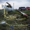 В Донецкой области Украины упал пассажирский «Боинг»: 295 погибших (ФОТО)