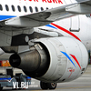 Попавшая в двигатель самолета птица стоила аэропорту Владивостока более 8 миллионов рублей