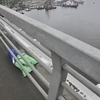 Девушка сбросилась с Золотого моста во Владивостоке