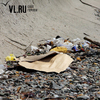 Пляж на Моргородке встречает отдыхающих мусором и битым стеклом (ФОТО)