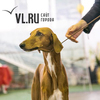 Региональная выставка собак всех пород «Весеннее шоу-2014» прошла во Владивостоке
