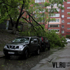 На Завойко дерево рухнуло на припаркованный автомобиль (ФОТО)