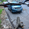 На Уборевича упавшее дерево повредило автомобили (ФОТО; ОБНОВЛЕНО)