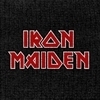 В мае во Владивостоке выступят экс-вокалисты Iron Maiden