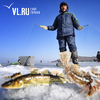 Чемпионат ТОФ по рыбалке собрал почти 100 человек на льду острова Русский (ВИДЕО)