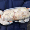На территории торговой базы на Бородинской изъяли тонну небезопасной свинины