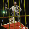 Леопарды, львы, тигры и многие другие: во владивостокском цирке поселилась «Империя хищников» (РАСПИСАНИЕ; ВИДЕО)