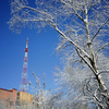 В выходные во Владивостоке похолодает — синоптики