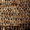 Десять юных приморцев спели в тысячеголосом детском хоре в Мариинском театре и готовятся к Олимпиаде в Сочи (ФОТО; ВИДЕО)