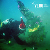 Дайверы Владивостока установили ёлку под водой и проводили старый год погружением на семь метров