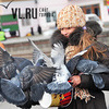 В выходные во Владивостоке потеплеет — синоптики