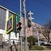 На «проблемном» участке на Калинина появился светофор (ФОТО)