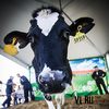 На фестивале молока во Владивостоке лучшие приморские производители представили свою продукцию (ФОТО)
