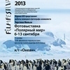 Во Владивостоке в рамках кинофестиваля откроется фотовыставка «Полярный мир»
