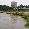 Уровень воды в Амуре у Хабаровска поднялся еще на 17 сантиметров