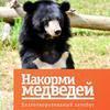 Накормим мишек вместе: снижен благотворительный взнос на последние 4 места!